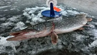 Зимняя рыбалка на Щуку. Разведка рыбных мест.