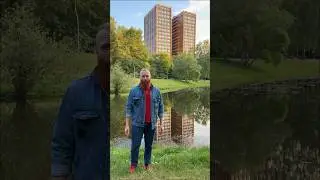 История про собаку в Нью-Йорке