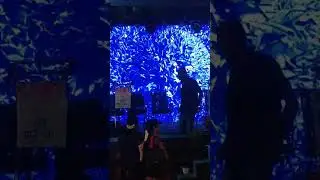 Brow  Media LED screen rental
