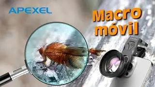 Mobile photography with the APEXEL 100mm macro lens