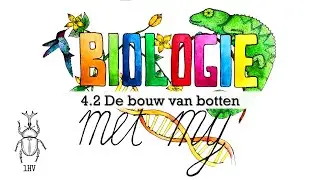 1HV - 4.2 De bouw van botten