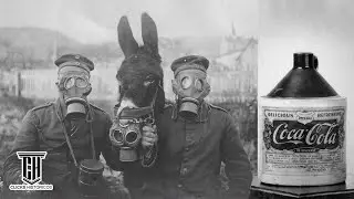 100 Anos em Fotos - Uma Jornada Impactante pelo Século Passado