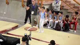 Mushroom Circle Championship