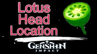 Lotus head location Genshin Impact