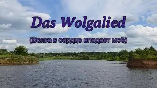 Das Wolgalied. ( 