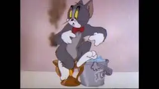 Tom & Jerry: Spotlight Collection Volume 1 DVD Trailer