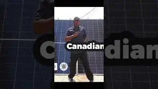 Trina Solar vs Canadian Solar in energy efficiency test.