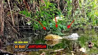 Awas...!!!Ini jadinya jika mancing di spot liar ikanya bikin jantungan
