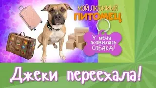 ВЛОГ: Джеки переехала в другую страну | 20 часов в машине