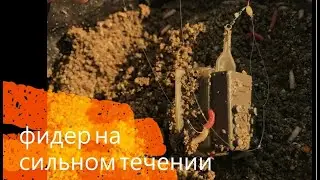 Feeder Fishing in a Current. Fishing on the Moksha River. Feeder 2020