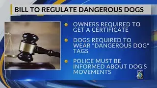 Bill to regulate dangerous dogs