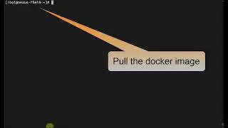 Installing Nexus Repository 3.54.1 Docker base on Red Hat Enterprise Linux 9