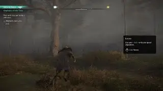 Snipe