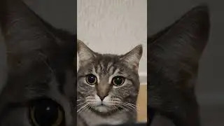 Твои глазааааа👀😂 