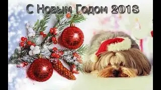 Хрюши Против | Новогоднее поздравление с 2018 г
