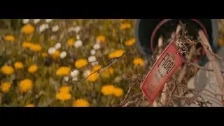 Gen5 Color Science // Anamorphic BMPCC4K