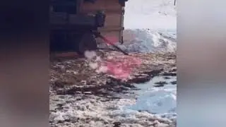 Сокол