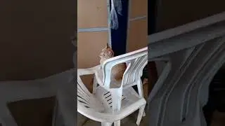 Mercado en Perú 3