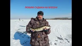 ЗИМНЯЯ РЫБАЛКА НА СУДАКА!!!  Ловля на летнюю блесну.