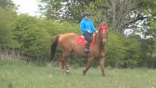 Lucas ~ 1 year ♥