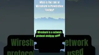 Penetration Testing Q6/6