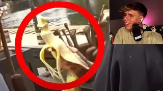 Blau Reacts to OTV and Friends how miyoung eats a banana