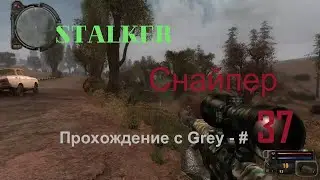 Сталкер снайпер  Прохождение с Grey   # 37