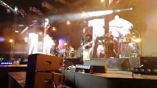 Антитіла TDME Харків Металіст 2019