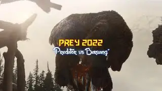 Predator vs Beruang | Cuplikan Film PREY 2022 [Sub Indo]