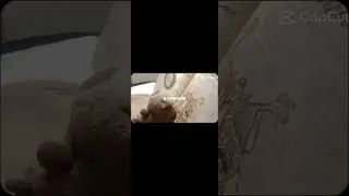 Фраза,которая заставляет задуматься... #фраза #шортс #shorts