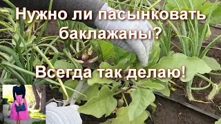 I do this with eggplants and have no regrets - I collect them in buckets! How to form eggplants
