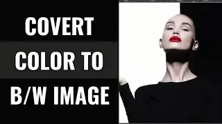 How to Convert Color Image to Black and White in Gimp 2.10