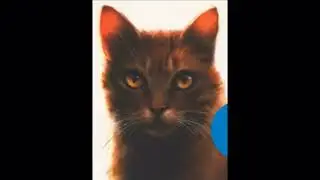What I think Warrior Cats sound like! Pt: 1 (Song: Solo)