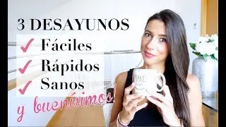 DESAYUNOS FÁCILES y SANOS RÁPIDOS | Qué DESAYUNAR para tener ENERGÍA | Ani Pocino TV