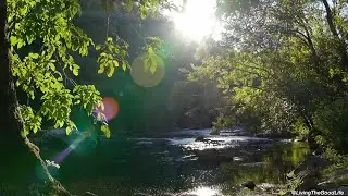 1 Hour Relaxing River - Flowing Water ASMR Nature Sounds at Creek Sunset - No Middle Ads 4K