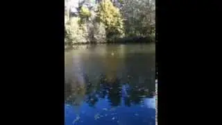 IMG 1042