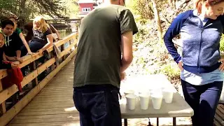 Rainbow Trout Release