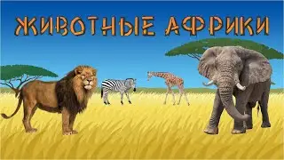 ЖИВОТНЫЕ АФРИКИ-названия и звуки животных для детей