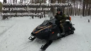 Что такое 