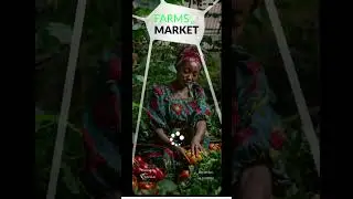 Unveiling the Future of Farming: Introducing Farm'sToMarket Prototype!