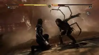 Mortal Kombat 11 Ultimate: Sub-Zero Gameplay