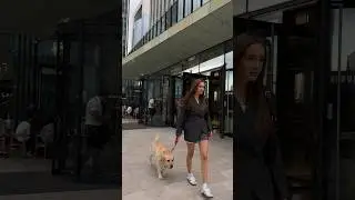 Эстетика моего дня