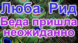 Люба Рид. Беда пришла неожиданно