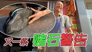 今天又帮粉丝切石头，切石店老板都笑了，笑说外行人赌石！