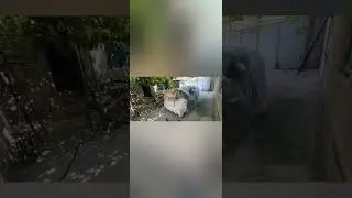 новая решетка, и ресницы