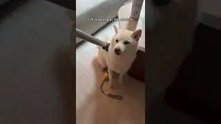 who makes the mess?