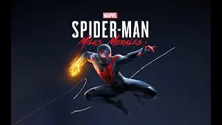 Spiderman Miles Morales (Amd Rx6600)
