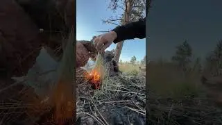 18 Minutes of Struggling to Make a Campfire