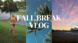 FALL BREAK Vlog | XC conference weekend, beach days, Halloween prep