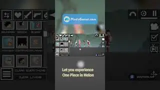 Exquisite One Piece mod in Melon Playground Sandbox PG